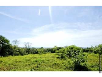 Private sandy beach lined with coconut palms Caribbean coast Donoso Panama
