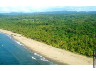 Sandy shore with palm trees perfect for boutique resort development Caribbean Panama