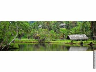 Secluded palm-lined sandy beach adjoining rainforest at Rio Mar on Panama's Caribbean Sea