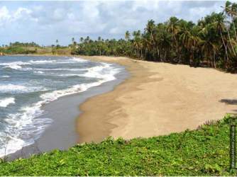 Untouched Caribbean beach with ocean views and coconut palms ideal residential or eco-tourism