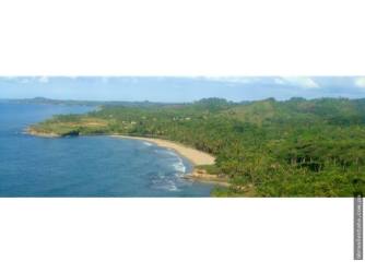 Dense tropical foliage adjacent to sandy coast ideal for eco-tourism Panama real estate
