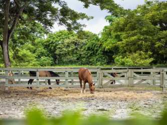 Golf course adjacent residential community Buenaventura Panama beachfront