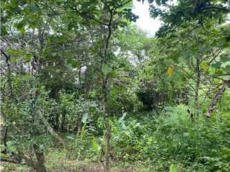 Green rural mountain land with lush forest in Cerro Picacho Sorá Panama