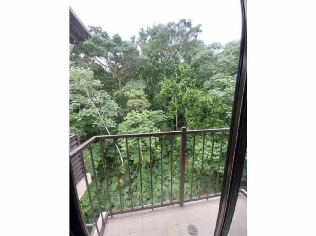 Balcony overlooking green trees and gardens at Embassy Village Clayton Panama City