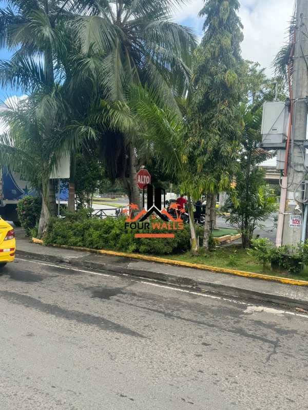 Street-side view in Albrook zone with palm-lined walkways and retail spaces