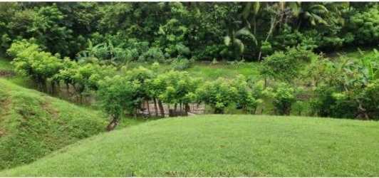 Front gate and green-painted rural house on fenced ranch property in Herrera province Panama.