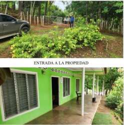 Gated access surrounded by lush vegetation and green-painted rural house Herrera Panama.
