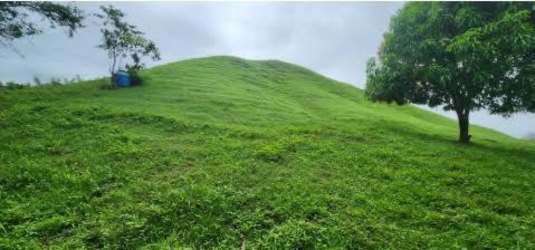 Panoramic green hills and dense vegetation on farm property for sale in Panama.