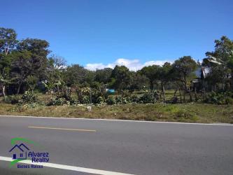 Roadside view of flat vacant lot with trees and vegetation in Volcán Chiriquí Panama