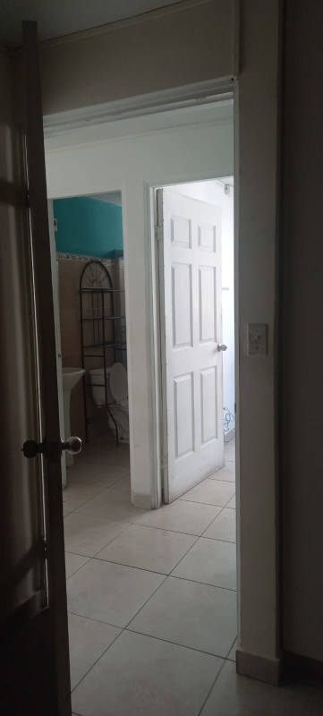 Bedroom with teal accent wall, window, and natural light Mystic Tower Panama