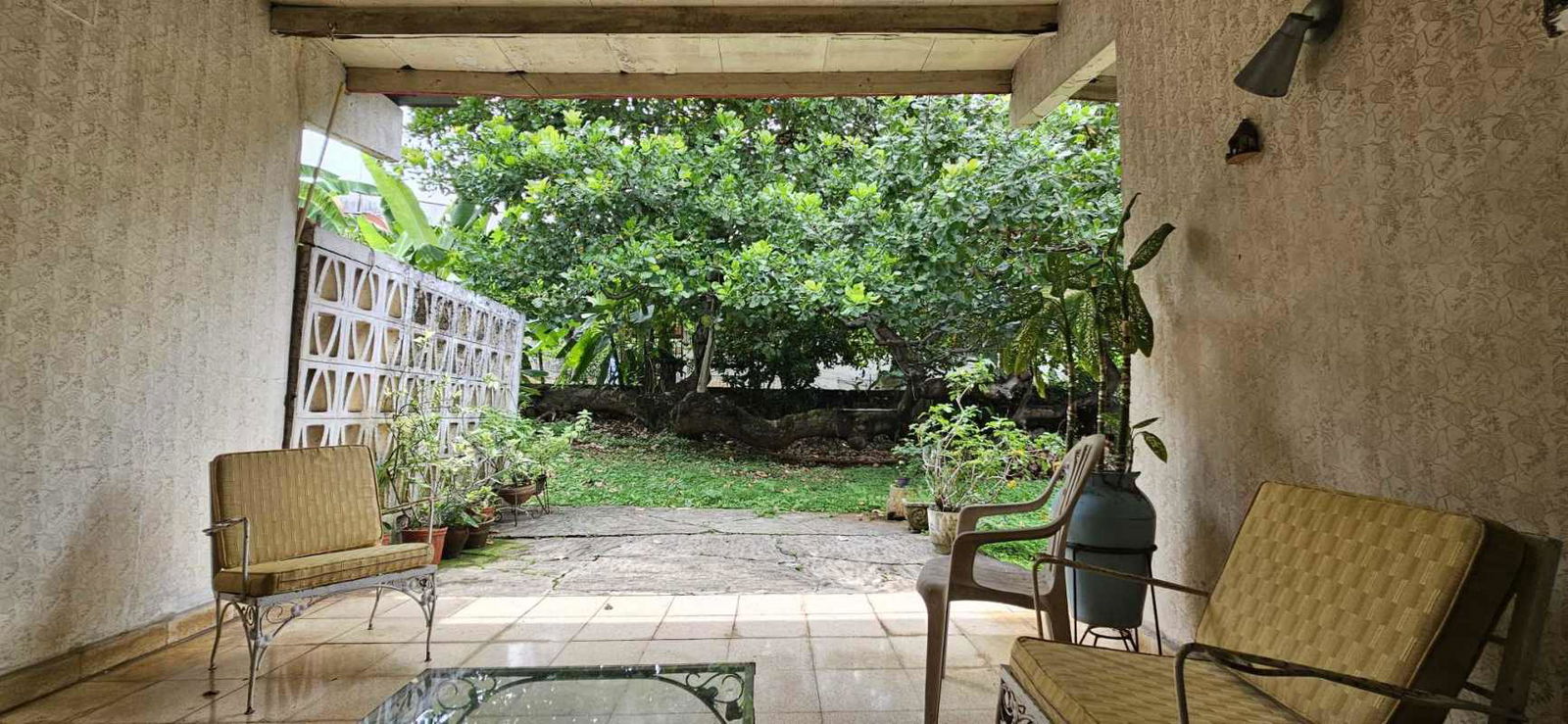 Covered patio with vintage seating concrete screen wall lush garden Carrasquilla Panama City