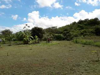 Land for Sale in Aguas Blancas - 0 bedrooms