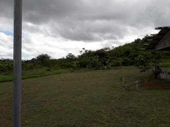 Large grassy lot with trees flat terrain in Penonomé Panama for sale
