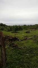 Land for Sale in Pocri - 0 bedrooms