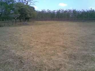 Expansive dry land with clear sky ideal for agriculture Pocri Panama