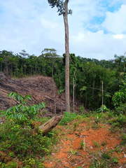 Land for Sale in Las Margaritas - 0 bedrooms