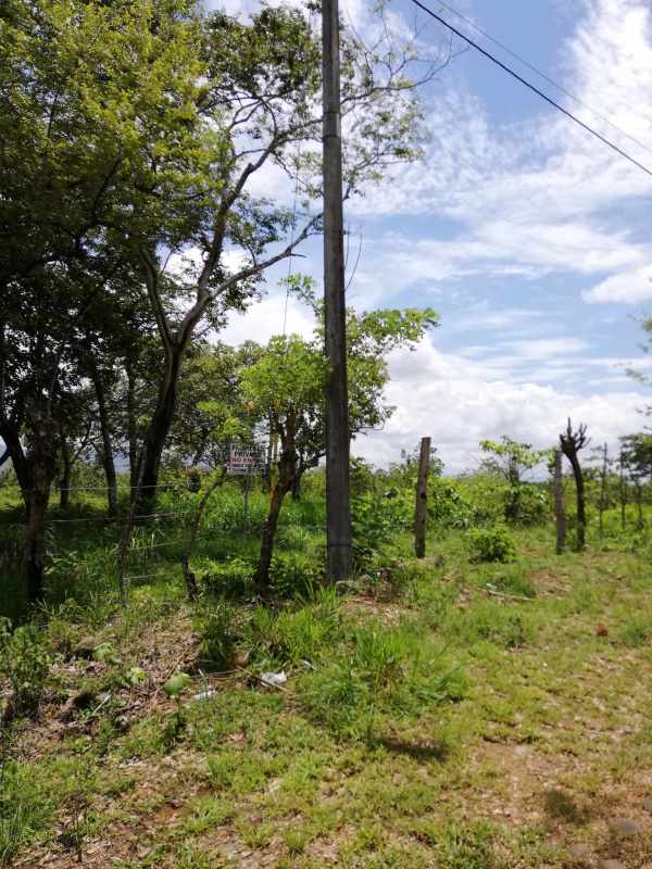 Wooded area with trees and greenery on large land lot in Pacora Panama near Panamericana