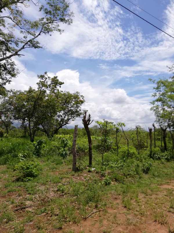 Rural fenced land plot with vegetation in Pacora Panama city outskirts
