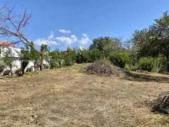 Cleared plot with some mature trees inside beachside gated community in Coronado Panama