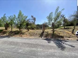 Empty residential land plot accessible by road within private Coronado community Panama