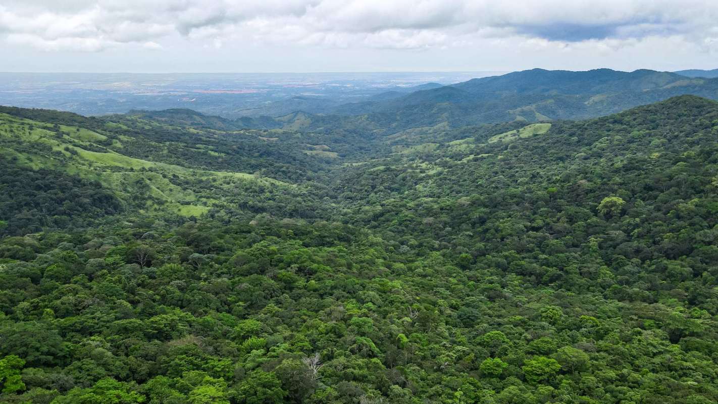 Mountain Development Land 45ha Cerro Azul Panama
