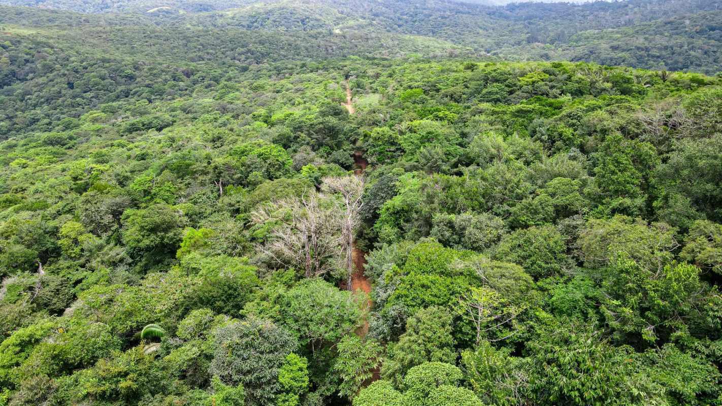 Mountain creek and dense forest land for sale in Cerro Azul Panama development opportunity