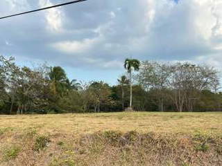 Commercial Land for Rent in Punta Barco - 0 bedrooms