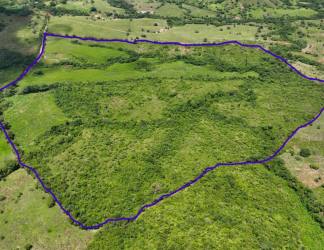 Aerial showing outlined 31 hectares of farmland for sale with mixed vegetation in Herrera province Panama