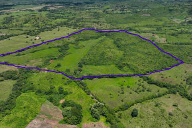 Big aerial view of green land outlined for sale as agricultural property in Ocú Herrera Panama