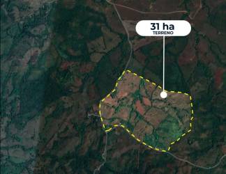 Outlines of 31-hectare agricultural property highlighted on rural satellite image near Ocú Panama