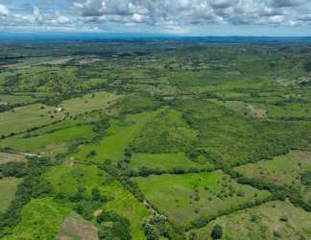 Land for Sale in Los Higos - 0 bedrooms