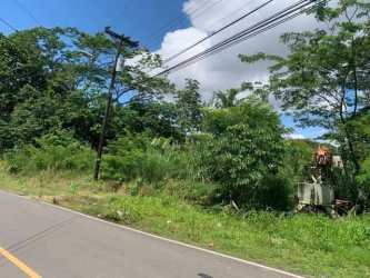 Large Roadfront Land 80m Frontage in Bique Arraiján