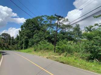 Paved road with utility access alongside Bique development property Panama