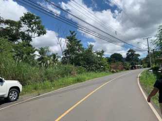 Open terrain with vegetation and utility lines on Bique land plot Panama