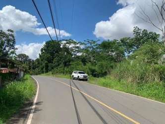 Corner roadside landscape with greenery and power lines on Bique development land Panama