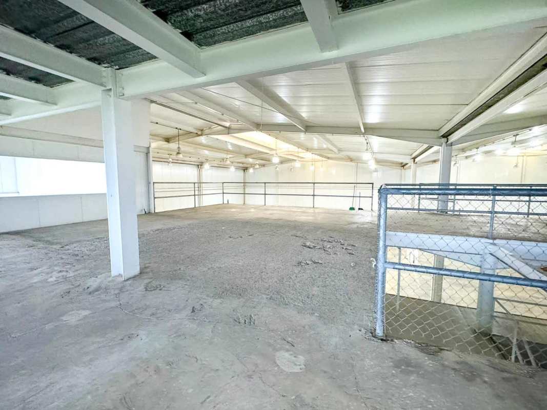 Warehouse mezzanine with concrete floor and railing inside Parque Industrial Las Americas Pacora Panama