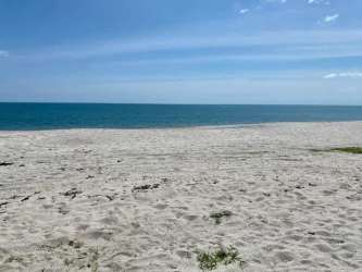 Vacant flat grassy land inside beach community near Buenaventura Panama