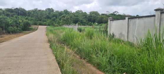 Residential Development Land Near University of Panama La Chorrera