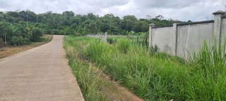 Land for Sale in La Chorrera - 0 bedrooms