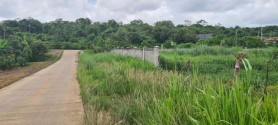 Fence line along road with tall grass and greenery surrounding residential development land in La Chorrera