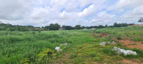 Clear open grassy area with some patches of dirt, ideal residential development site in La Chorrera Panama