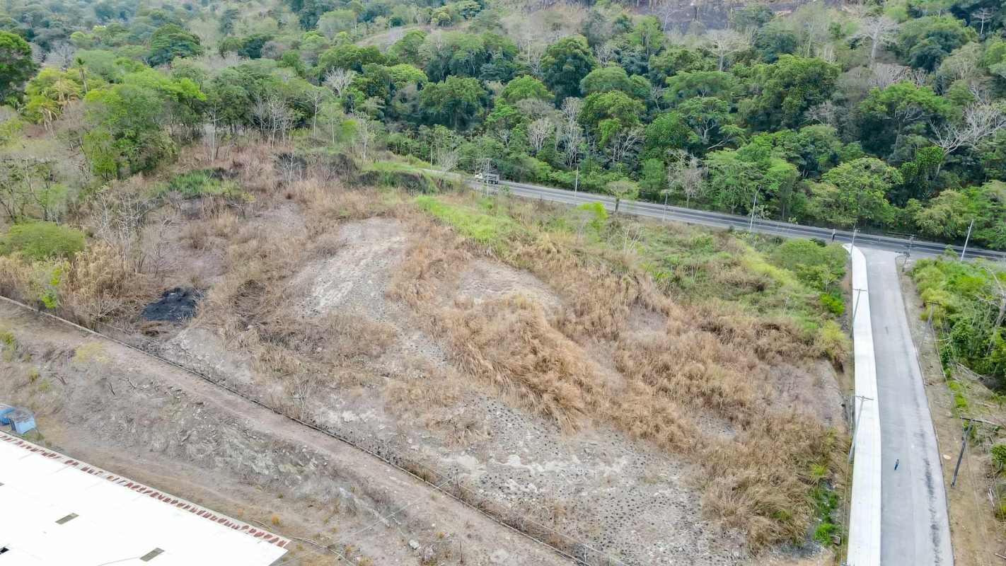Aerial view of wooded land with access road for sale in Panama
