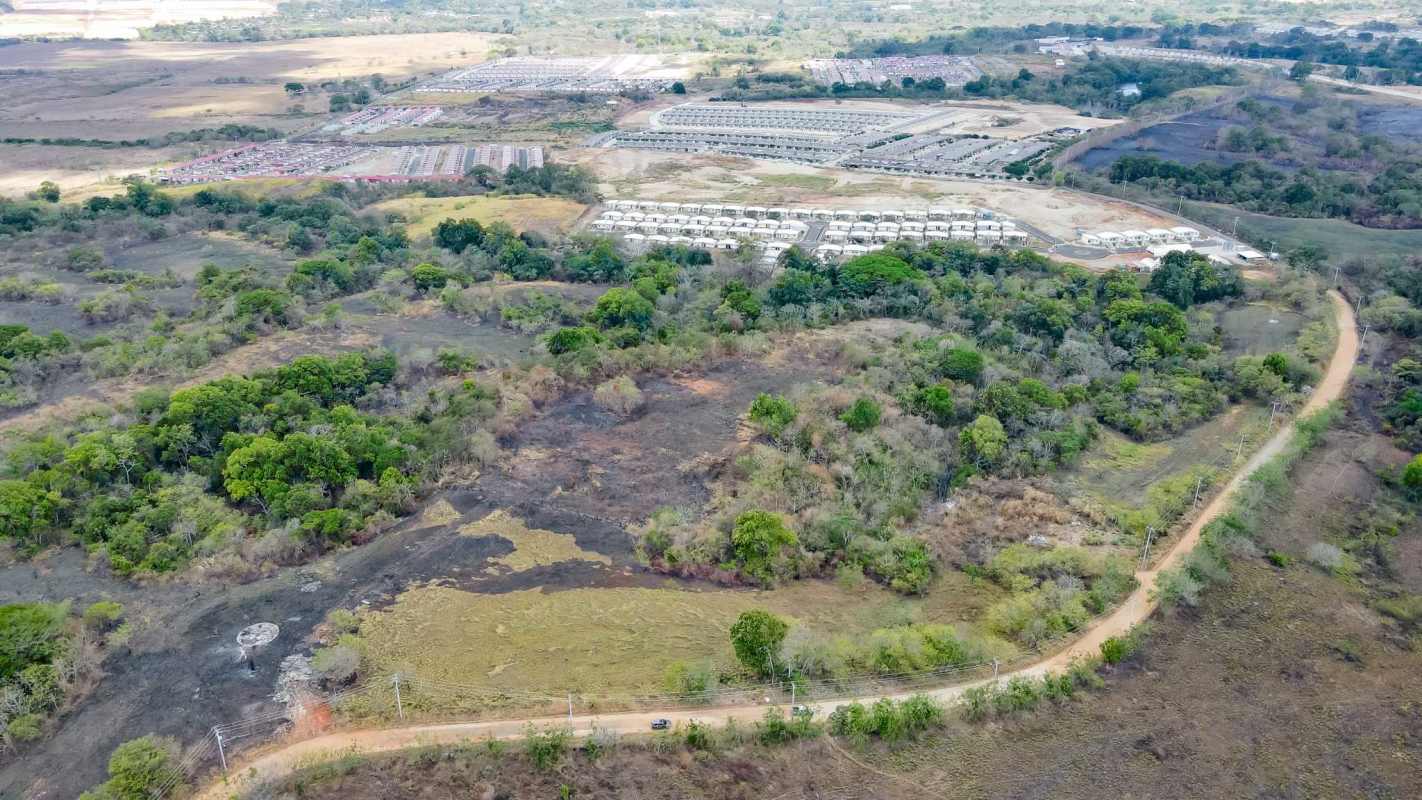 Aerial view of suburban housing development near large land for sale in Pacora area