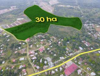 Labeled aerial map 30 hectares flat residential land close to roads Nuevo Emperador Panama