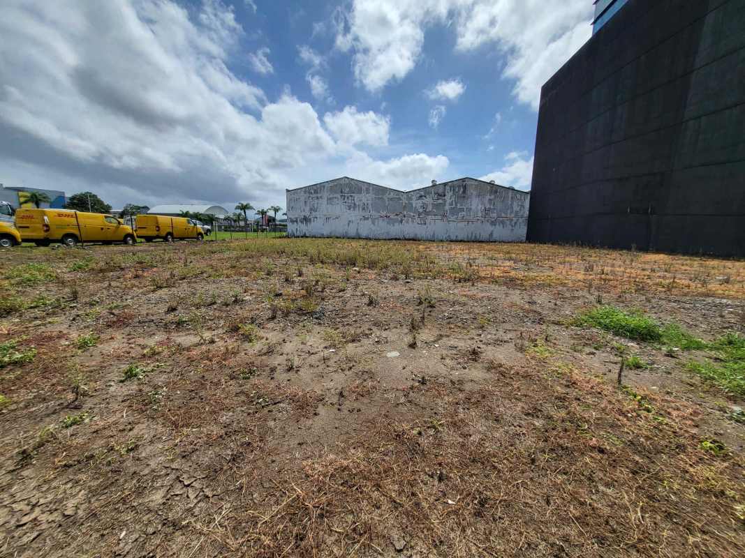 Paved street with vacant development land in Santa Maria Business District Panama