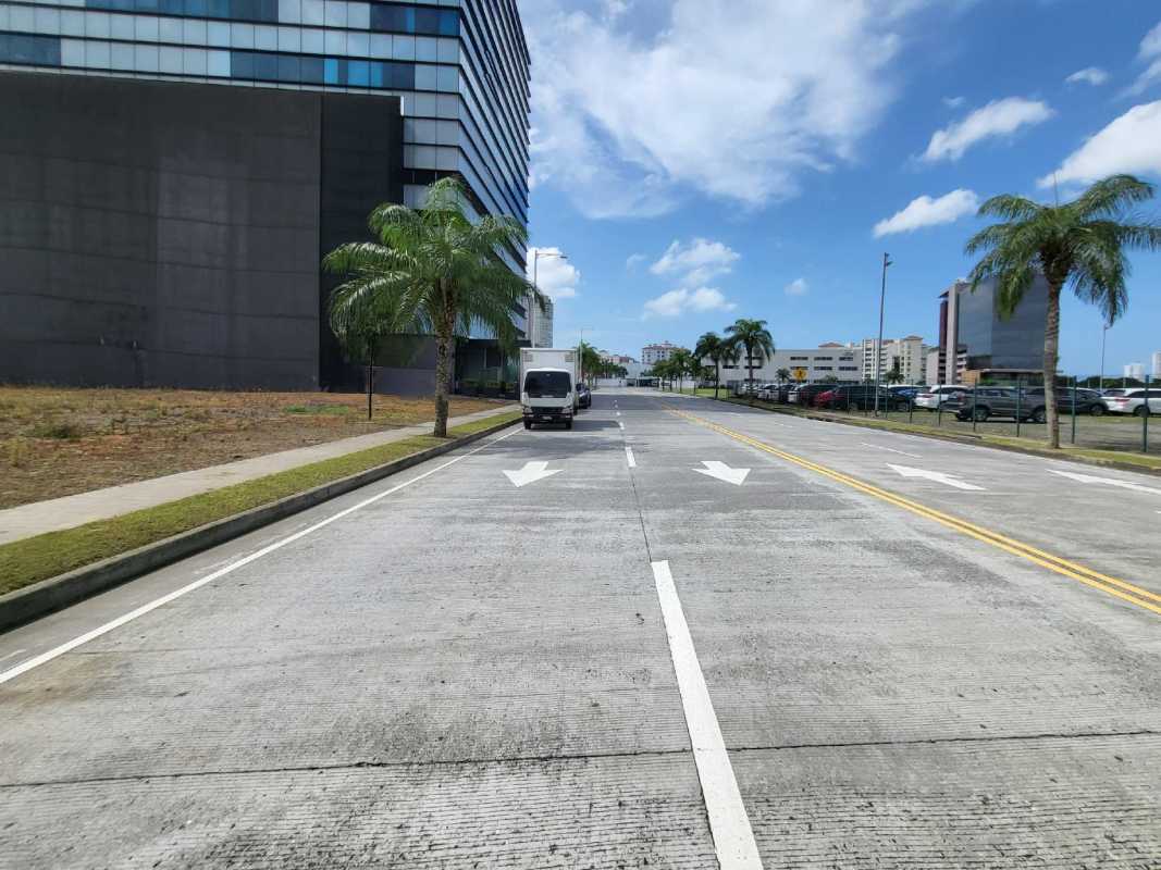 Commercial lot with palm trees and paved access in Santa Maria Business District Panama