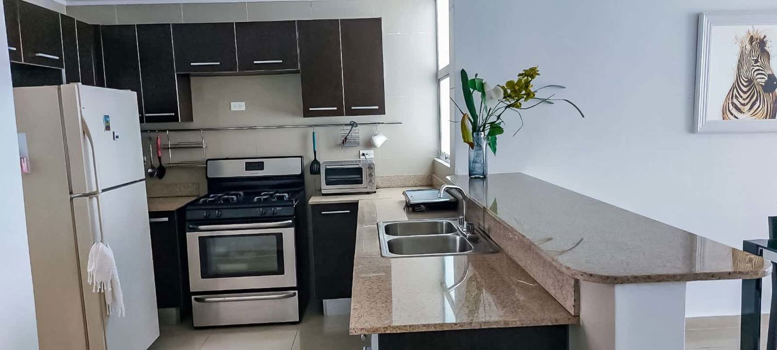 Modern kitchen with granite counters and appliances PH Park Lane for sale Panama