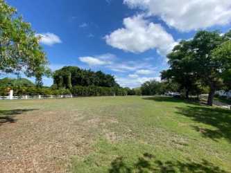 Spacious beach lot overlooking ocean ready for construction Santa Clara Coclé