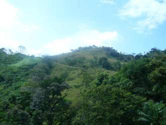 Beachfront Caribbean Land 9.7 hectares in Puerto Lindo