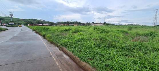 Open grassy land with paved road access under cloudy sky in Arraiján